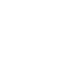 logo brno