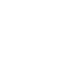 logo msmt